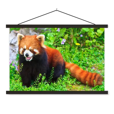 Produktbild von MuchoWow® Textilposter Roter Panda - Grün - Gras 120x80 cm mit schwarzem Rahmen - Wanddeko