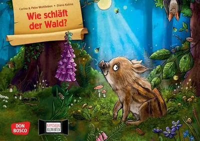 Produktbild von Wie schläft der Wald? Kamishibai Bildkartenset