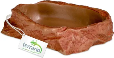 Obrázek produktu pro Terrario Natural Bowl M – Miska do Terrária 11,5x9x3 cm Terrario