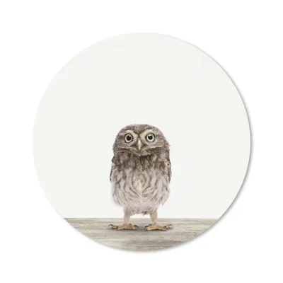 Produktbild von MuchoWow® Mauspad Mousepad Tiere - Weiß - Eule 30x30 cm - Mousepads - Maus Mat - Pad - Mausunterlage - Tischunterlage - Schreibtischmatten