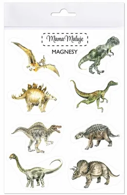Zdjęcie produktu dla Magnesy Dinozaury
