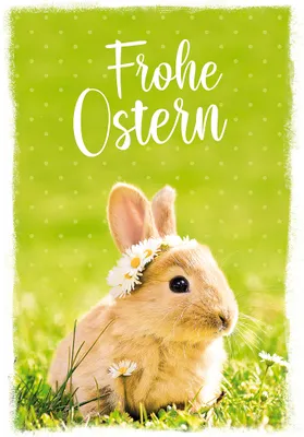 Produktbild von Ostern Glückwunschkarte im Format 115 x 17cm mit Umschlag