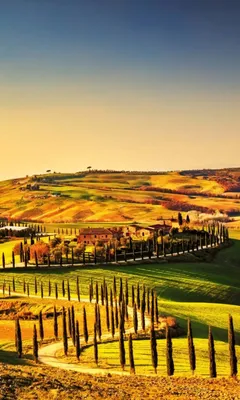 Produktbild von Fototapete - Tuscany 150x250cm - Vliestapete
