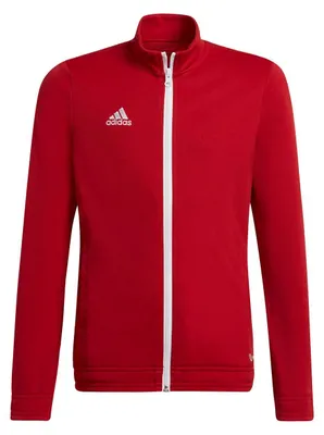 Produktbild von adidas Entrada 22 Trainingsjacke 140 TEPORE