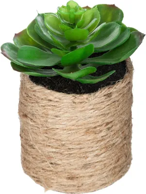 Produktbild von Künstliche pflanze h16cm  - Atmosphera créateur d'intérieur