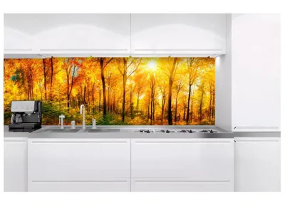 Zdjęcie produktu dla Dimex fototapeta do kuchni KI-180-084 Słoneczny las 60 x 180 cm