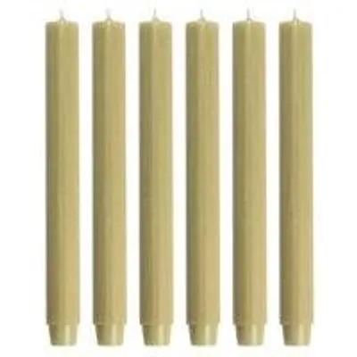 Cactula dicke Stabkerzen – Beige-Oliv – 6 Stück – 30 cm – Ø 2,6 cm
