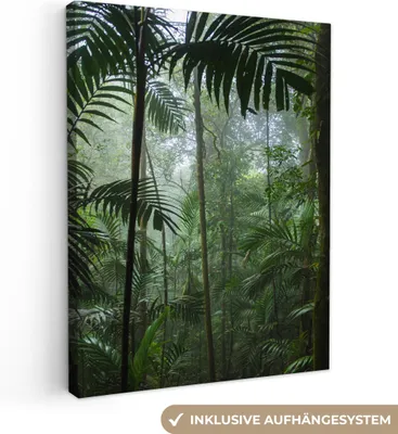Produktbild von MuchoWow® - Leinwandbilder - Regenwald - Tropisch - Dschungel - Bäume - Pflanzen, Wandbild, Wanddeko Bilder Wohnzimmer, 30x40 cm
