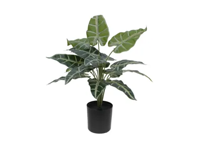 Image de EUROPALMS Caladium, plante artificielle, 38cm (82508457)