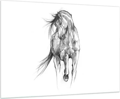 Produktbild von Bilder auf glas - Einteilig - Pferd Galopp Tier - 100x70cm - Glasbilder - Wandbilder - Bilder - zum Aufhängen bereit - Wanddekoration aus Glas - Glas Bilder - Wandbild auf Glas - GAA100x70-5080