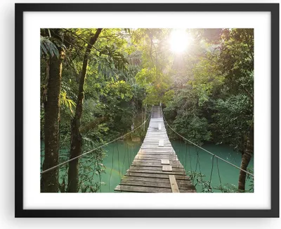 Produktbild von Gerahmtes Poster - Schwarzer Rahmen - Brücke Seil Dschungel - 50x40 cm - Wand Bild - Wanddeko - Wandbilder - Kunstposter - Wandposter - Bilderrahmen - Bilder - Kunstdruck - P2BAA50x40-4397