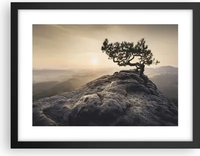Produktbild von Gerahmtes Poster - Schwarzer Rahmen - Alt Kiefer Berge - 40x30 cm - Wand Bild - Wanddeko - Wandbilder - Kunstposter - Wandposter - Bilderrahmen - Bilder - Kunstdruck - Wandbild - P2BAA40x30-4334