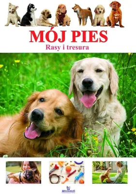 Immagine prodotto di Mój Pies - poradnik dla właścicieli