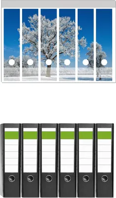 Produktbild von Wallario 6 Stück breite Ordner inkl. Klebeetiketten mit Motive Schneebedeckter Baum mit blauen Himmel -  Set mit Rückenschildern / Ordnerrücken Stickern