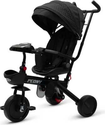 Image de Baby Mix Peony EVA tricycle noir
