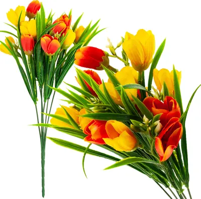 Image de Bouquet de crocus Crocus Crocuus dans l'herbe Fleurs artificielles