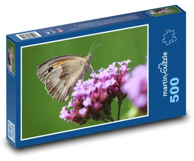 Obrázek produktu pro Puzzle 500 Motýl na květině - martinpuzzle
