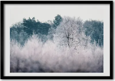 Produktbild von Bild - Bilder - Bilderrahmen - 70 cm x 50 cm - MDF-Rahmen, Wandkunst Bäume im Winter