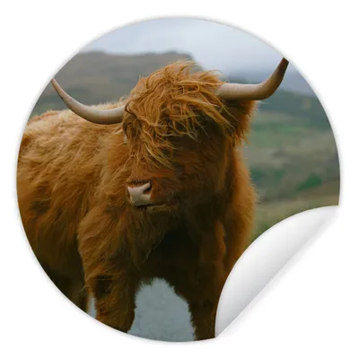 Produktbild von MuchoWow® Runde Wandtattoo - Wandsticker Tapete Aufkleber Schottischer Highlander - Berg - Straße Ø 50 cm Selbstklebend und Repositionierbar - Wandaufkleber - Kreis - Wand Kreis - Wand Bild - Foto Tapete - Selbstklebende - Wohnzimmerdekoration - Wand Dekoration - Kinderzimmer