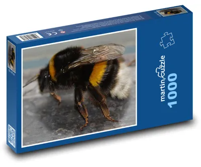 Obrázok produktu pre Puzzle 1000 Čmeliak na Lúke - martinpuzzle