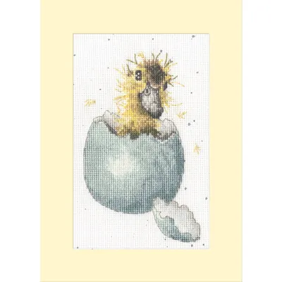 Zdjęcie produktu dla Zestaw do haftu krzyżykowego Bothy Threads "Peek-a-boo", wzór do liczenia, XGC48, 10x16cm
