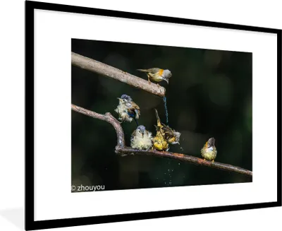 Produktbild von MuchoWow® MuchoWow® Gerahmtes Poster Vogel - Zweig - Wasser 90x60 cm - Poster mit zchwarzem Bilderrahmen - Wanddekoration - Fotos
