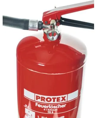 Immagine prodotto di Estintore a schiuma Protex SD6-E da 6 litri