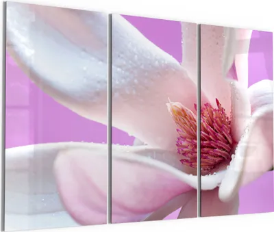 Produktbild von DEQORI Glasbild Echtglas 3x50x100 cm 'Magnolienblüte' Wandbilder XXL groß