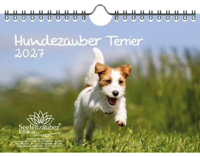 Produktbild von Hundezauber Terrier DIN A5 Kalender für 2027 Welpen und Hunde - Seelenzauber
