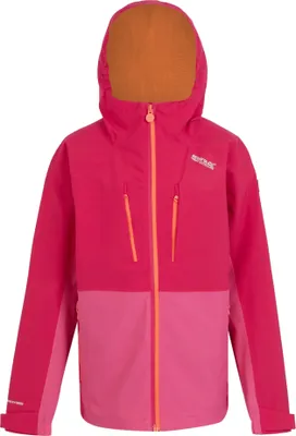 Produktbild von Regatta - Detská mikina s kapucňou "Highton V" RG10843 (170-176) (Pinker Trank/Flamingo-Rosa)