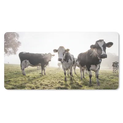 Produktbild von MuchoWow® Mauspad Mousepad Kühe - Licht - Gras - Tiere 60x30 cm - Mousepads - Maus Mat - Pad - Mausunterlage - Nachhaltig