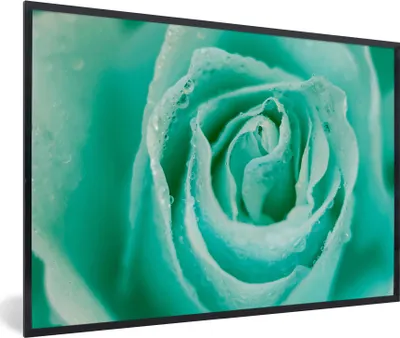 Produktbild von MuchoWow® MuchoWow® Gerahmtes Poster Mintgrüne Rose 90x60 cm - Poster mit zchwarzem Bilderrahmen - Fotorahmen - Foto-Plakat