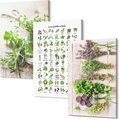 Produktbild von Wandbild – Leinwandbild – Leinwandbilder – Polycanvas – Kunstdruck – Modern – Panorama – Mehrteilig – 3-Teilig Set – Hochwertig – Lichtecht – Geruchslos – 20x30 Cm Je Element - Getrocknete Pflanzen für die Küchenkräuterliste