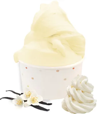 Zdjęcie produktu dla Lody waniliowe w proszku 100 kg
