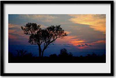 Produktbild von Bild 60x40 MDF-Rahmen Wandkunst Baum Natur