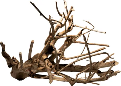 Obrázok produktu pre Talawa Holz M (30-45 cm)