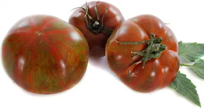 Produktbild von Rarität  - Schwarze Krim Tomate - Noire de Crimée - 20 Samen