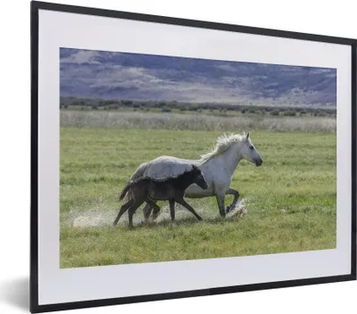 Produktbild von MuchoWow® MuchoWow® Gerahmtes Poster Pferde - Fohlen - Braun 40x30 cm - Poster mit zchwarzem Bilderrahmen - Bilderrahmen - Poster im Rahmen