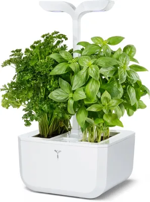 Obrázok produktu pre Véritable 3760262510873, 4 W, 100 - 240 V, 200 mm, 182 mm, 371 mm, 1,2 kg