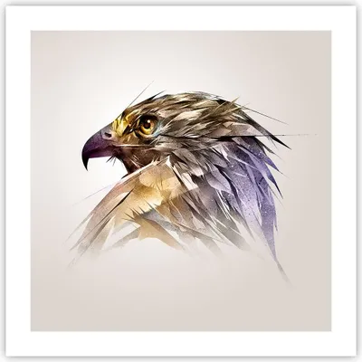 Produktbild von Poster - Poster ohne Rahmen - Adler Vogel Feder - 50x50 cm - Wand Bild - Wanddeko - Wandbilder - Kunstposter - Wandposter - Bilder - Kunstdruck - Wanddekoration - Wandbild - P2XAC50x50-3936