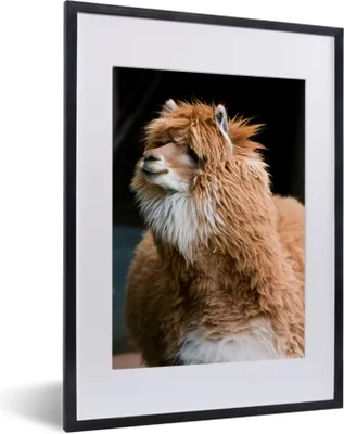 Produktbild von MuchoWow® MuchoWow® Gerahmtes Poster Alpaka - Fell - Braun 30x40 cm - Poster mit zchwarzem Bilderrahmen - Wandposter Schlafzimmer