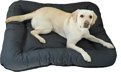 Produktbild von Famanu Hundebett XL/XXL für große Hunde - Wasserfest und waschbar