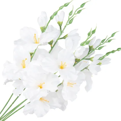 Produktbild von Dekolo Künstliche Gladiole Schwertträgerblume für Innendekoration und Blumenkompositionen Weiß
