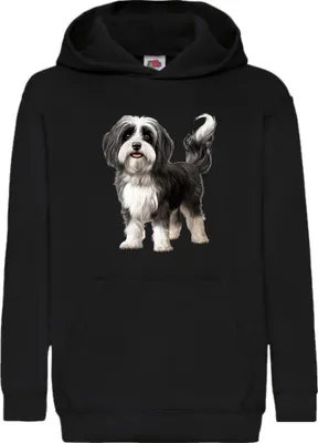 Zdjęcie produktu dla Dziecięca Bluza Z Kapturem Dogs Breeds Havanese Dog Breed 005, 5-6 Jahr - 116 / Czarny
