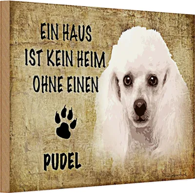 Produktbild von Holzschild Pudel  30x20cm Haus ist kein Heim ohne