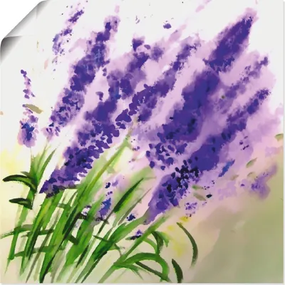 Produktbild von ARTland Poster Lavendel-aquarell Größe: 40x40 cm