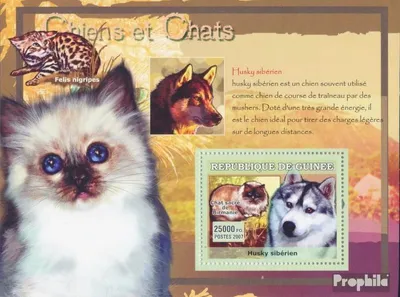 Produktbild von Briefmarken Guinea 2007 Mi Block 1205 (kompl. Ausgabe) postfrisch Husky Siberien