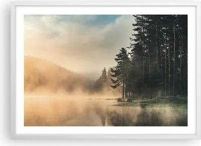 Produktbild von Gerahmtes Poster - Weißer Rahmen - Nebel See Wald - 70x50 cm - Wand Bild - Wanddeko - Wandbilder - Kunstposter - Wandposter - Bilderrahmen - Bilder - Kunstdruck - Wanddekoration - P2WAA70x50-4440