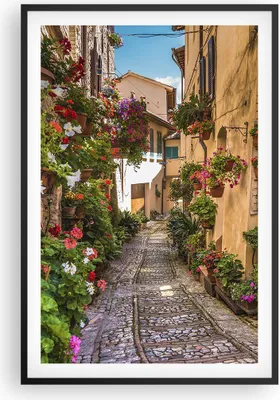 Produktbild von Gerahmtes Poster - Schwarzer Rahmen - Path Blumen Haus Hof - 61x91,5 cm - Wand Bild - Wanddeko - Wandbilder - Kunstposter - Wandposter - Bilderrahmen - Bilder - Kunstdruck - Wandbild - P2BPA61x91-3183
