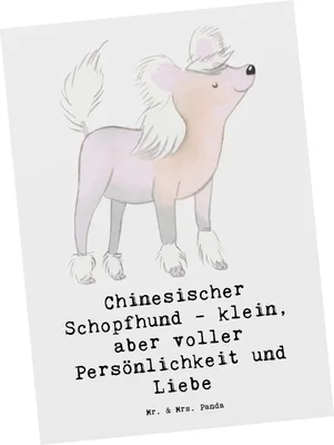 Produktbild von Mr. & Mrs. Panda Grußkarte Chinesischer Schopfhund Liebe - Weiß - Geschenk, klein, Postkarte, Fotokarte, mutige Hunde, Pflege, einzigartige Hunderasse, Kunstkarten, Hund